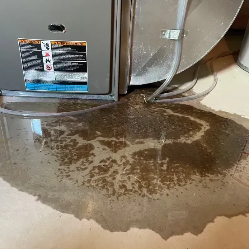 Appliance Leak Cleanup in Galva, IL